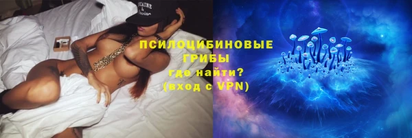прущий лед Арсеньев