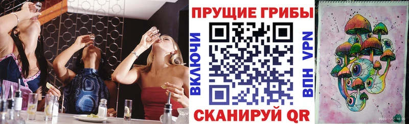 гидра tor  Любим  Псилоцибиновые грибы Magic Shrooms 